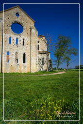 San Galgano (37)