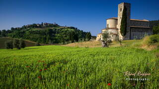 Sant’Antimo, Tuscany, Italy