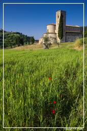Sant’Antimo (47)
