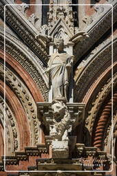 Siena (133)