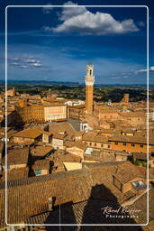 Siena (154)