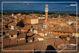 Siena (155)