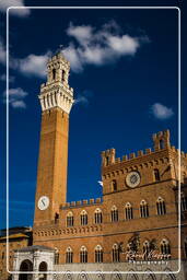 Siena (156)