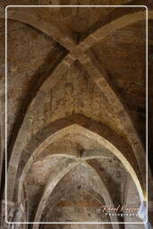 Sovana (13)