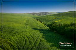 Paisajes de la Toscana (1)