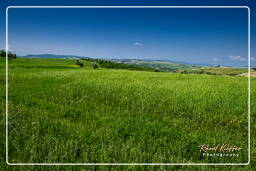 Tuscan Landscapes (6)