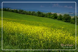 Tuscan Landscapes (7)