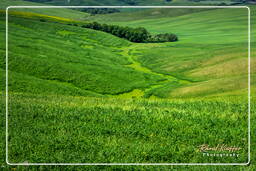 Tuscan Landscapes (8)