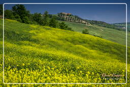 Toskanische Landschaften (12)