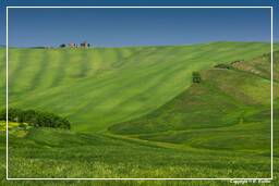 Tuscan Landscapes (20)