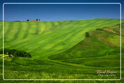 Toskanische Landschaften (20)