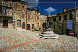 Castiglione d’Orcia (25)