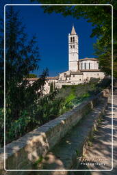 Assisi (101)