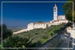 Assisi (103)
