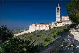 Assisi (103)