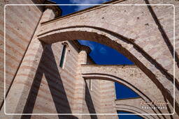 Assisi (120)