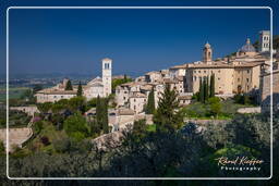 Assisi (129)