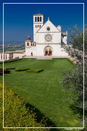 Assisi (153)