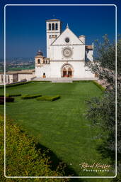 Assisi (153)