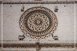 Assisi (187)