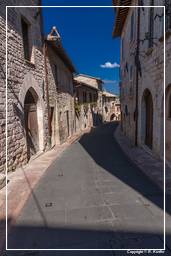 Assisi (207)
