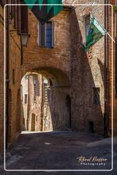 Citta della Pieve (13)