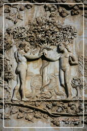 Orvieto (230)