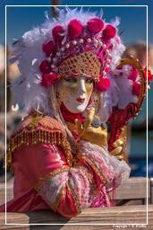 Carnaval de Venecia 2011 (2165)