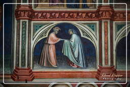 Palazzo della Ragione, Padua (34)