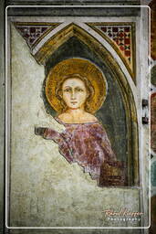 Chiesa degli Eremitani, Padua (112)