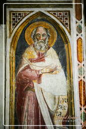 Chiesa degli Eremitani, Padua (113)