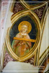 Chiesa degli Eremitani, Padua (120)