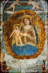 Chiesa degli Eremitani, Padua (123)