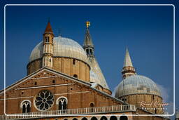 Padoue (153) Basilica di Sant’Antonio da Padova