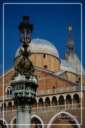 Pádua (154) Basilica di Sant’Antonio da Padova