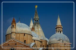 Padova (158) Basilica di Sant’Antonio da Padova