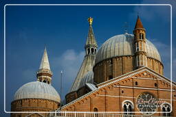 Pádua (161) Basilica di Sant’Antonio da Padova