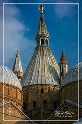 Padoue (163) Basilica di Sant’Antonio da Padova