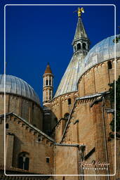 Padoue (166) Basilica di Sant’Antonio da Padova