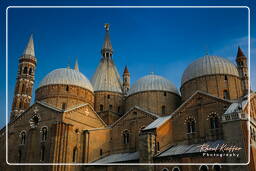 Basilica di Sant’Antonio da Padova, Padua (174)