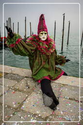 Carnaval de Venecia 2007 (341)