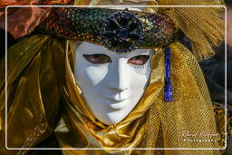 Carneval of Venice 2007 (480)