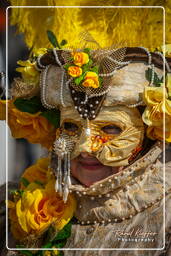 Carnevale di Venezia 2011 (193)