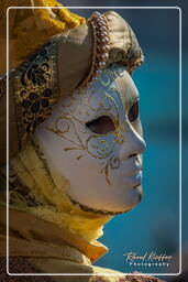 Carneval of Venice 2011 (214)