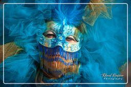 Carneval of Venice 2011 (294)