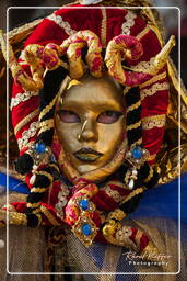 Carnevale di Venezia 2011 (752)