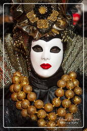 Carneval of Venice 2011 (777)