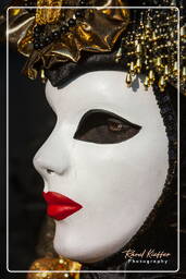 Carneval of Venice 2011 (791)