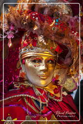 Carnaval de Venecia 2011 (801)