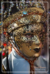 Carnevale di Venezia 2011 (807)